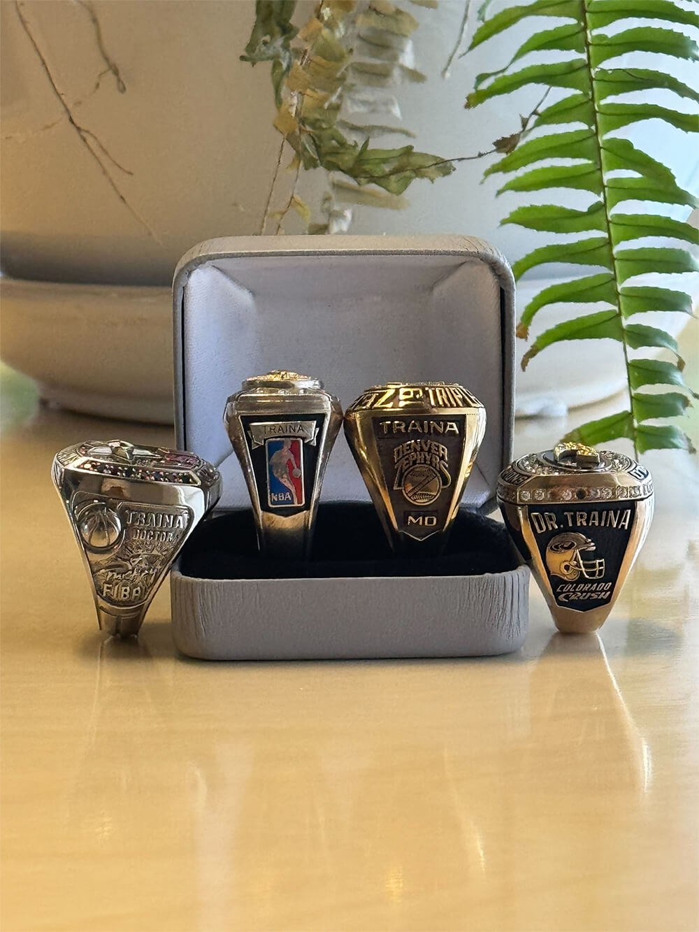 championship-rings-steve-traina